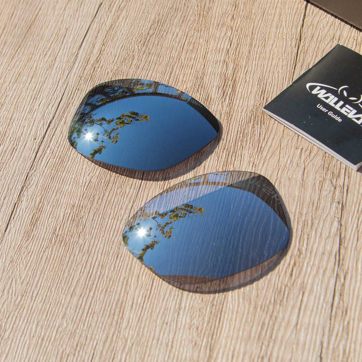 Titanium Mr. Shield Polarized