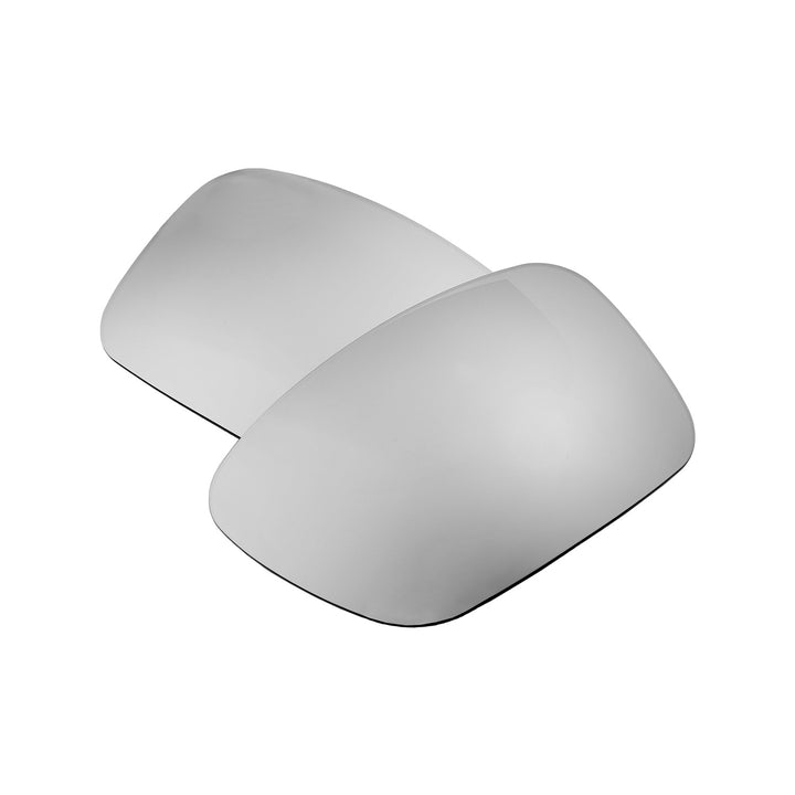 Titanium Mr. Shield Polarized