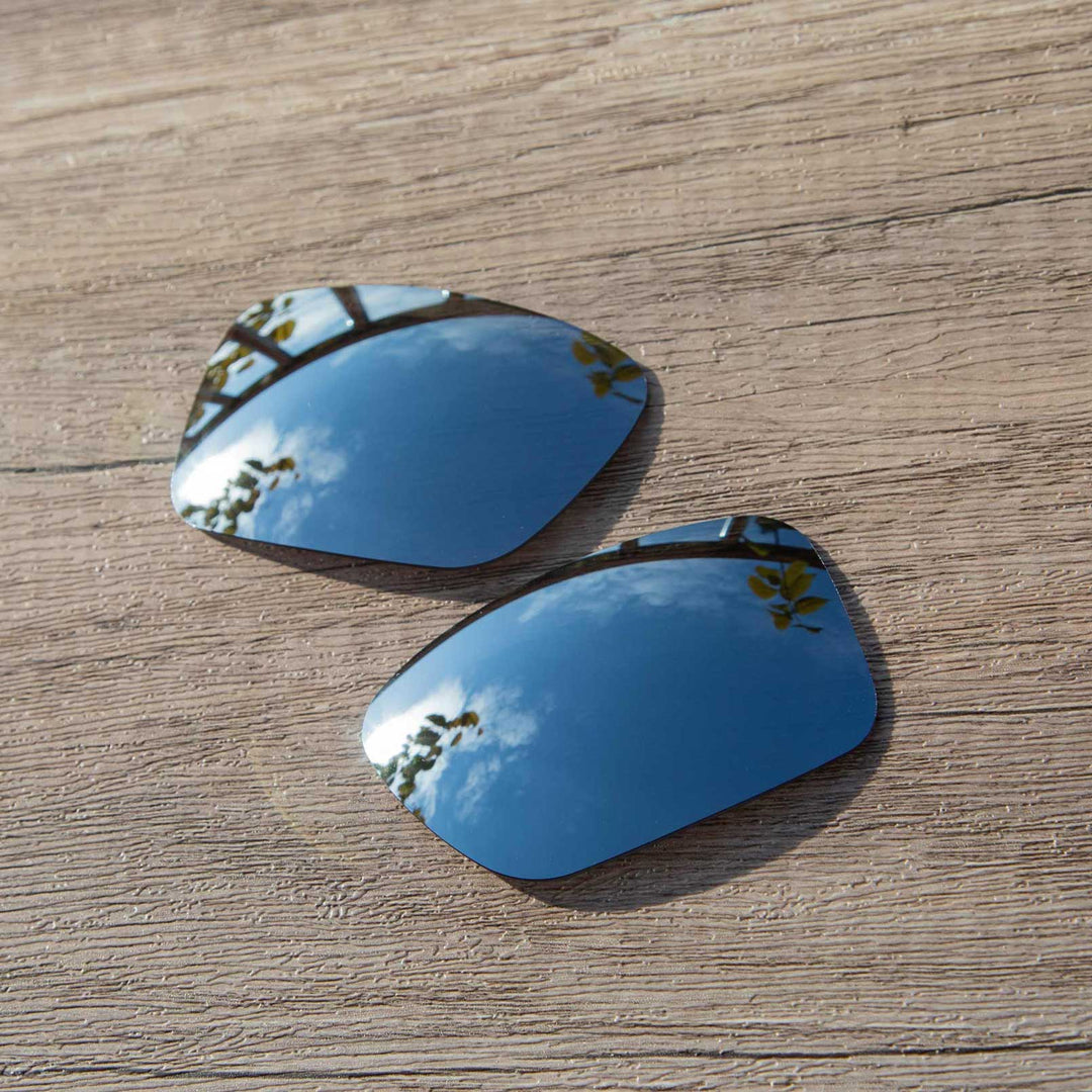 Titanium Mr. Shield Polarized