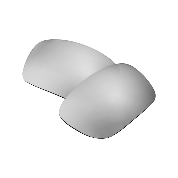 Titanium Mr. Shield Polarized
