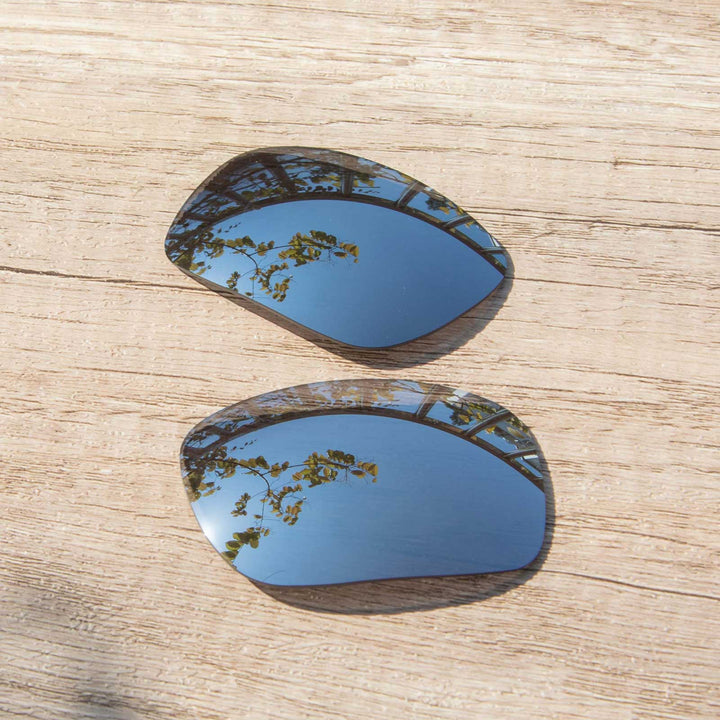 Titanium Mr. Shield Polarized