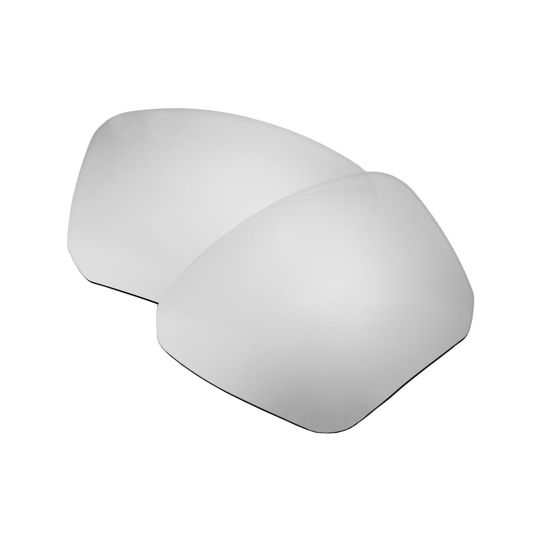 Titanium Mr. Shield Polarized