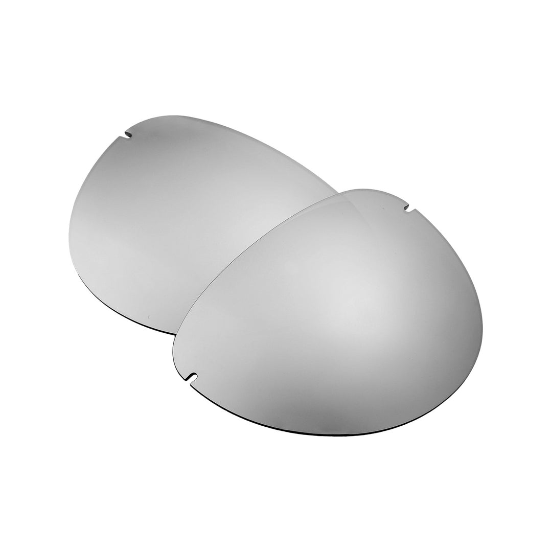 Titanium Mr. Shield Polarized