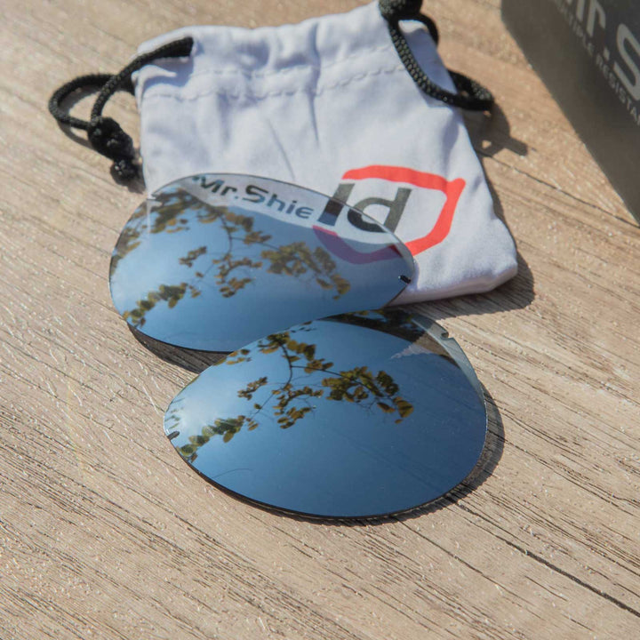 Titanium Mr. Shield Polarized