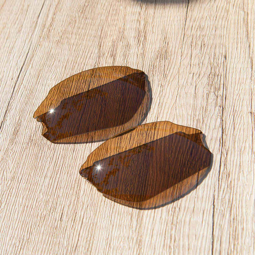 Brown Mr. Shield Polarized