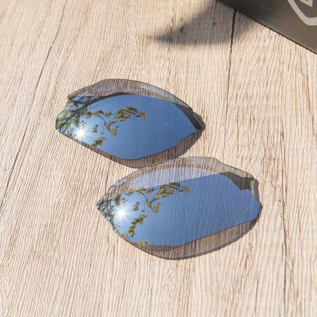 Titanium Mr. Shield Polarized