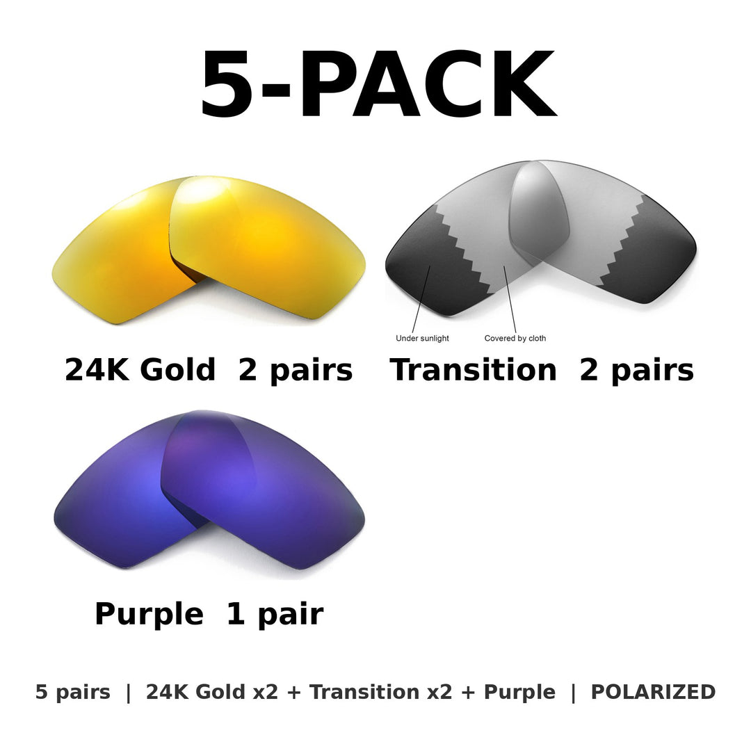 5-Pack Polarized: 24K Gold x2 + Transition x2 + Purple
