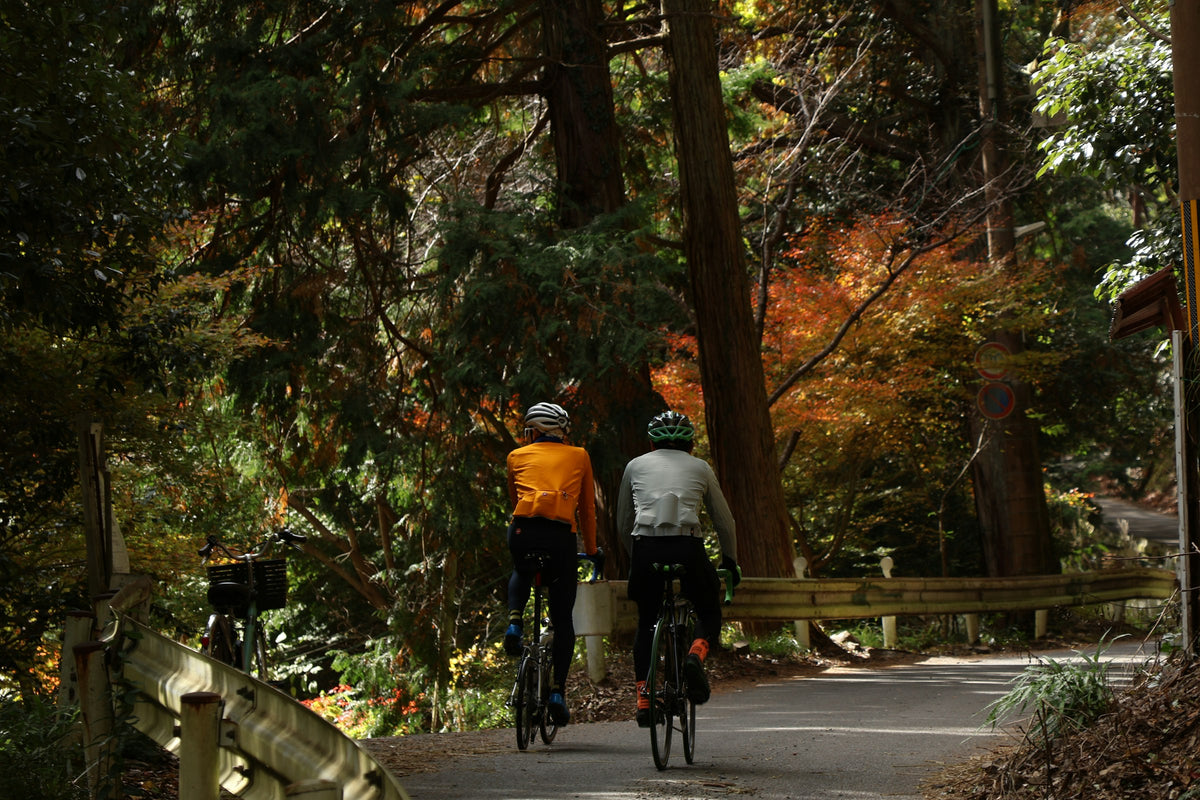 Cyclists riding a road through autumn trees